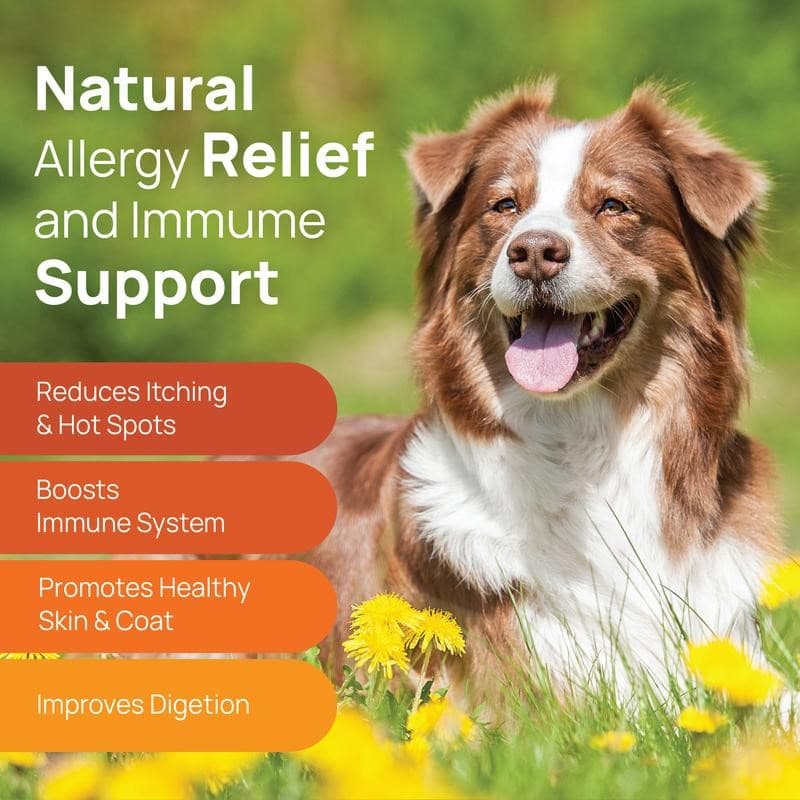 Buy Allergy Supplement Chews for Dogs — Best Pills for Dogs Allergies