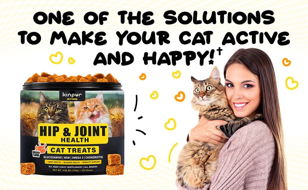 Hip & Joint Cat Treats