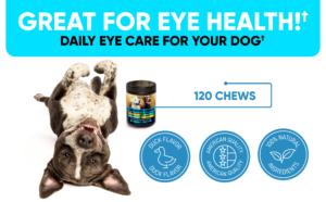 Clear Vision Complex Chews