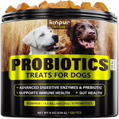 Probiotics for Sensitive Stomach