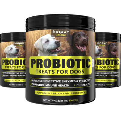 Probiotics for Sensitive Stomach 3-Pack (360 COUNT)