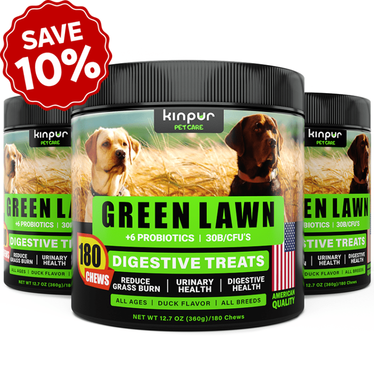 Stay Green Immune Bites for Dogs | Grass Saver Pills for Dogs | Dog
