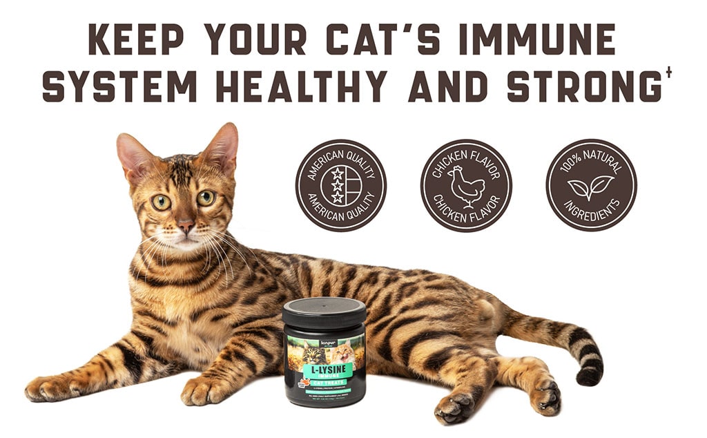 L-lysine Imunne Cat Treats
