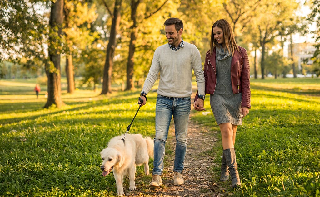 How to walk your dog correctly and with benefit for your pet